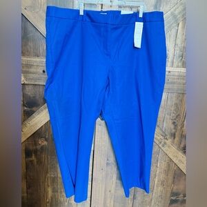 NEW Charter Club D’Lovely Tummy Slimming Classic Fit Ankle Pant Plus Size 24W